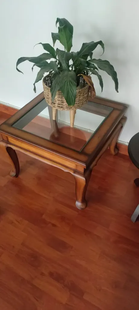 [NAFT10677] Cofee Table - <ELARA>